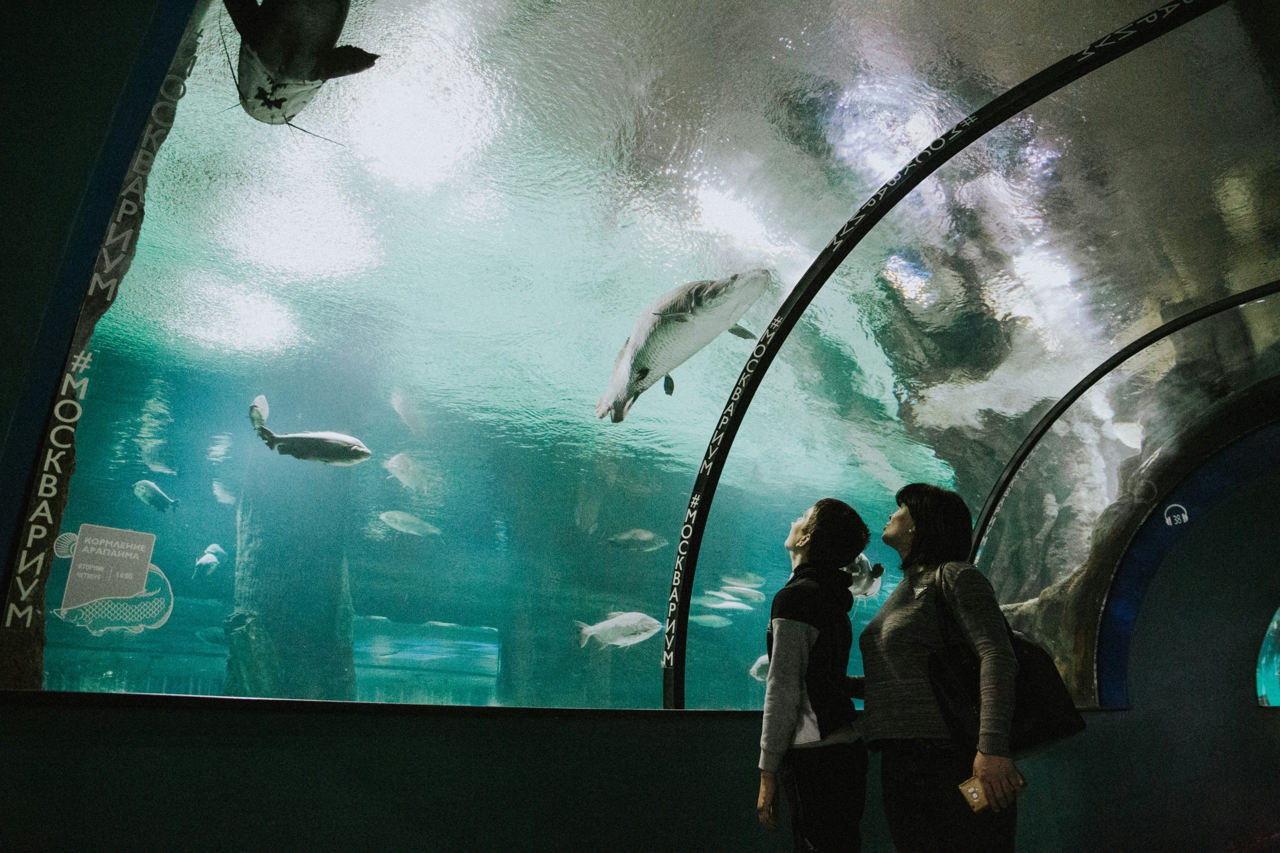 New York Aquarium 2