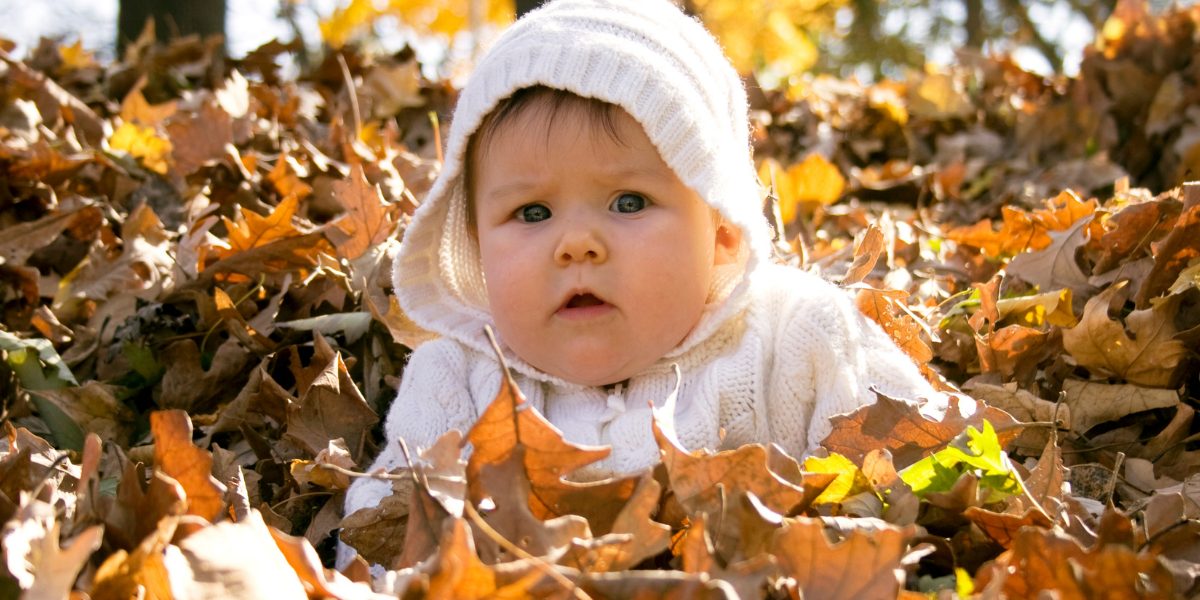 How does your baby spend Thanksgiving in Brooklyn