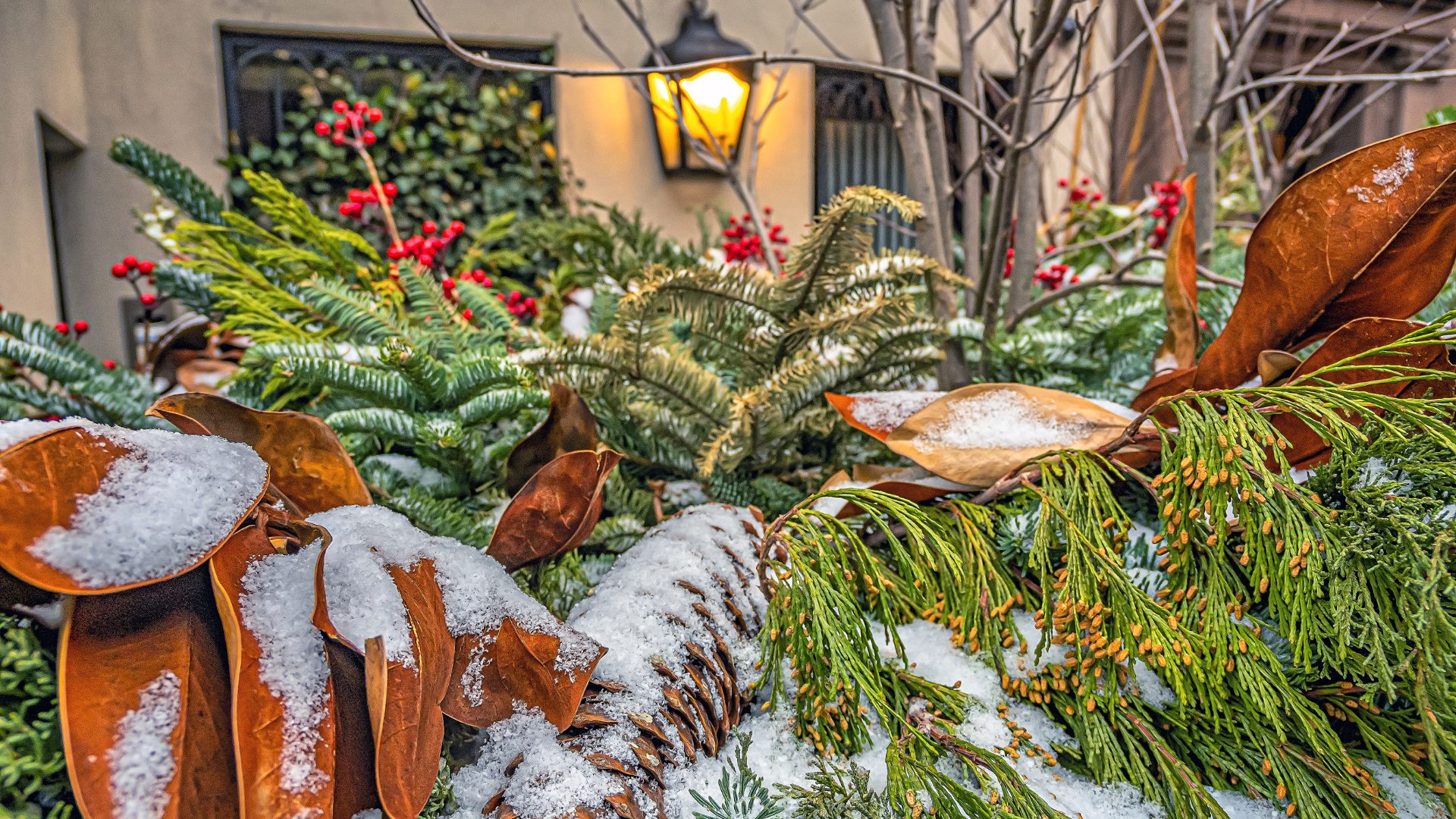 Winter in Carroll Gardens